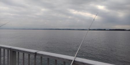 なんと！高級魚が！