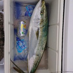 2023播磨詣第3回