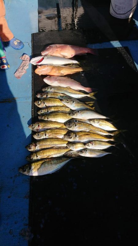 船上お祭り騒ぎ