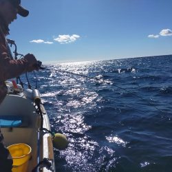 近海ぶっ飛び〜