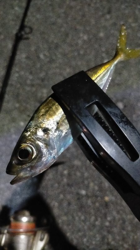 仕事終わりに初釣り場にて。