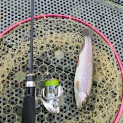 激渋の原因はターンオーバー？