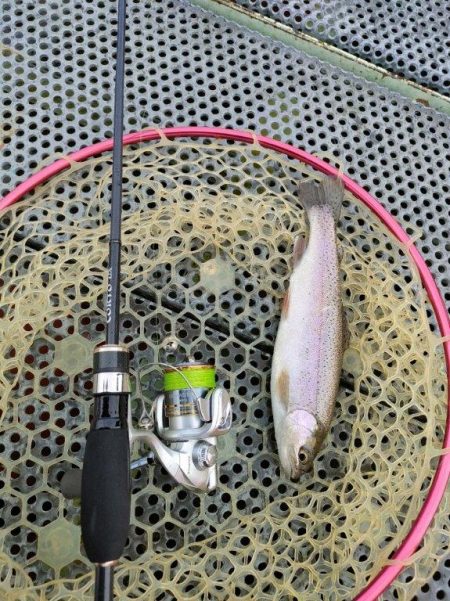 激渋の原因はターンオーバー？