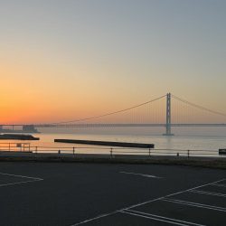 カワハギはシーズンアウト?