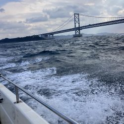 たかたかの釣り日記