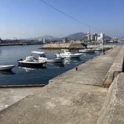 たかたかの釣り日記