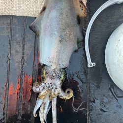 たかたかの釣り日記