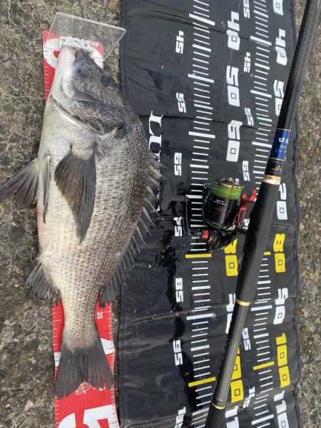 久々のチヌ45センチオーバー