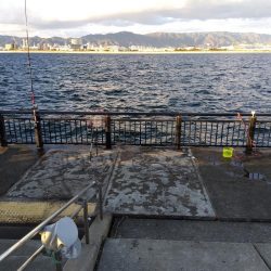 スズキもメジロも