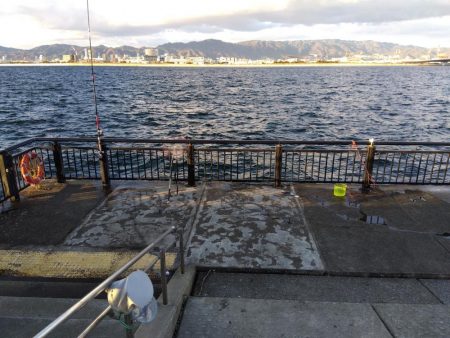 スズキもメジロも