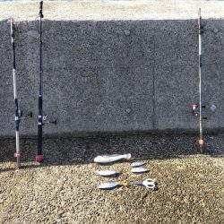 ブリーはいました。