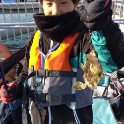 カワハギ釣れました