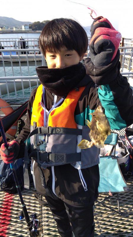 カワハギ釣れました