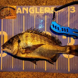 今治出張中、休み取れましたのでフカセ釣り第3戦✨