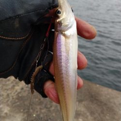 近場のキスが厳しくなりました