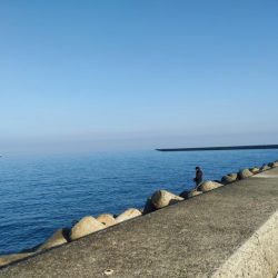 貧果ですが、状況報告も兼ねて投稿します!