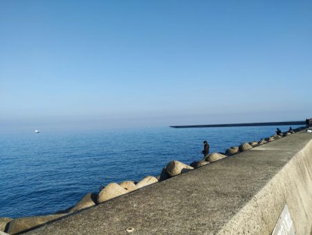 貧果ですが、状況報告も兼ねて投稿します!