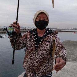 魚住港のキス調査Ⅱ