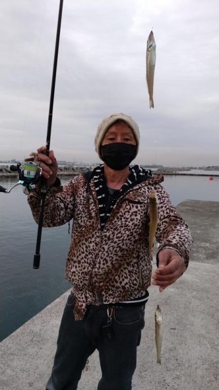 魚住港のキス調査Ⅱ