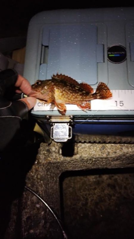 初フロートリグ