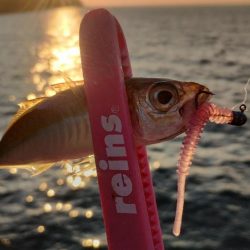 スーパーゼンゴ