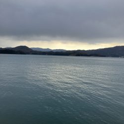 サゴシポツポツ