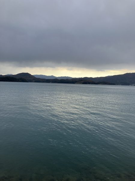 サゴシポツポツ