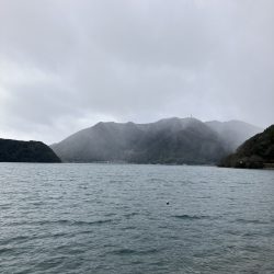 千歳サゴシポツポツ