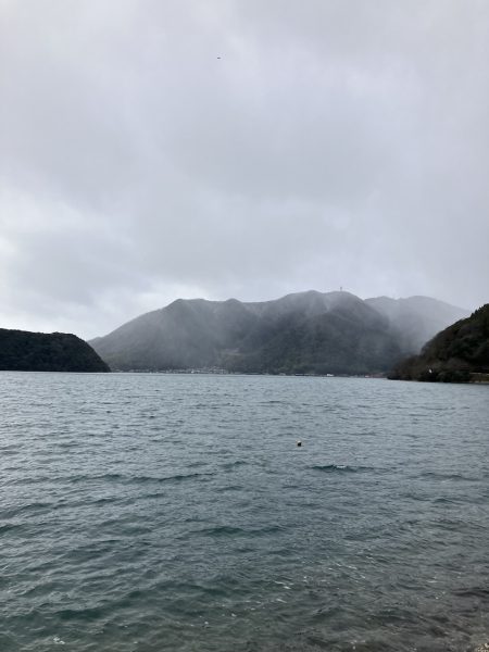 千歳サゴシポツポツ