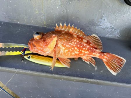 丹後半島沖ジギングで寒ブリ