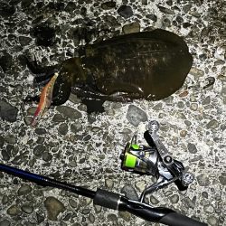 久しぶりのジェット噴射の感覚