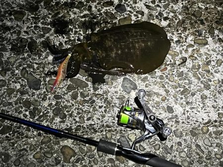 久しぶりのジェット噴射の感覚