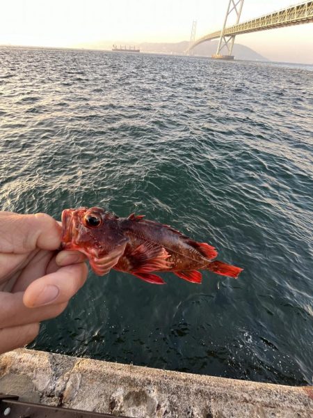 渋いシーズン到来