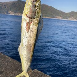 釣り納めはペンペン祭り