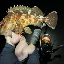 ガッシーで納竿会