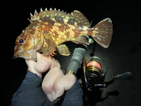 ガッシーで納竿会