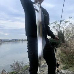 美味しいサイズ