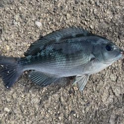 爆風と戦いながら