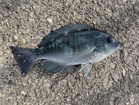 爆風と戦いながら