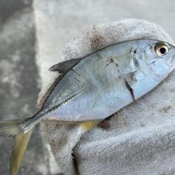 寒くてもメッキ！