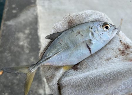 寒くてもメッキ!