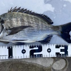 僅かなアタリで1枚