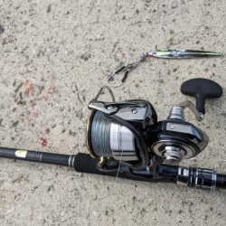 久しぶりの釣果