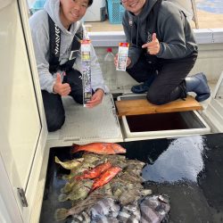 淡路島由良のサンバソウ