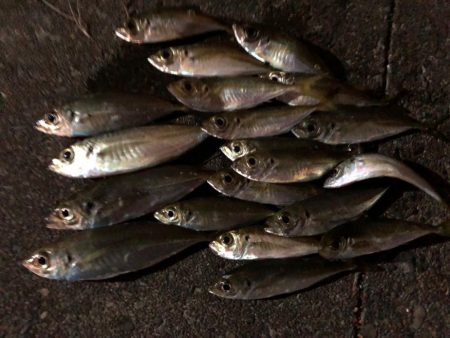 ライトゲーム丼が食べたくて