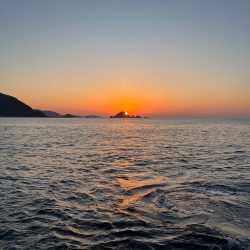 釣り納めエギング