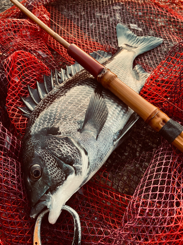 ヘチってきました