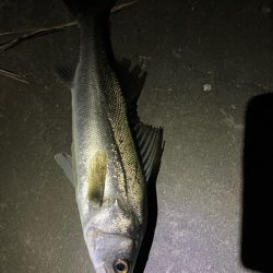 仕事帰りの1時間