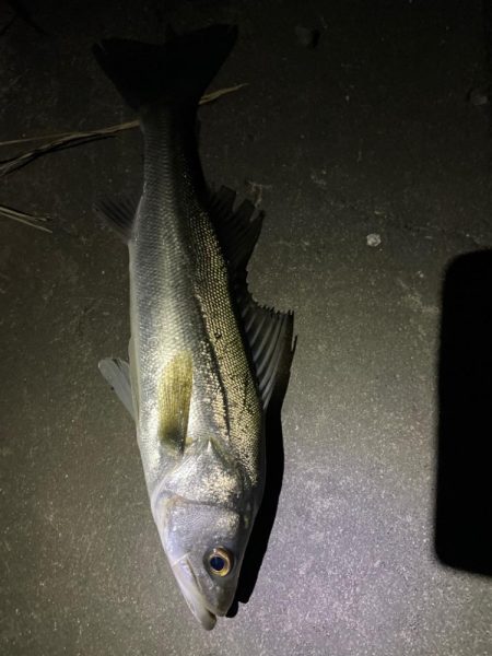 仕事帰りの1時間