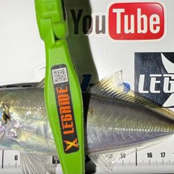 絶好釣アジング